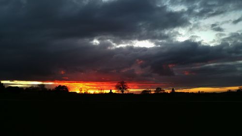 Silhouette of trees on field against cloudy sky