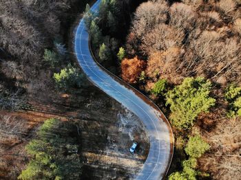 High angle view of road passing through forest