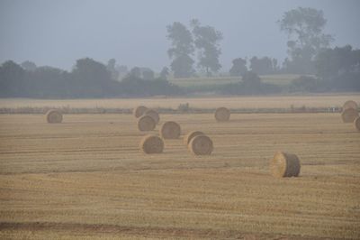 Hay bales on field against sky