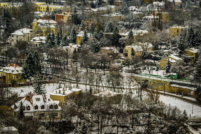 High angle view of trees and houses during winter