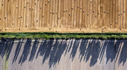 Aerial view of agricultural field