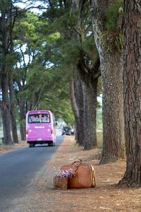 View of vehicle on road