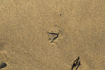 High angle view of footprints on beach