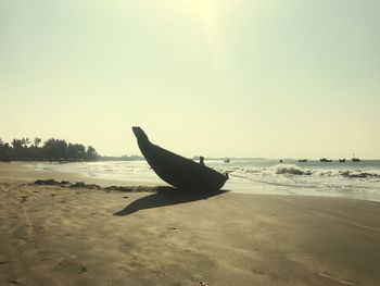 Close-up of silhouette turtle swimming on beach against clear sky