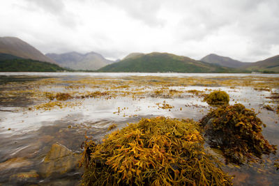 Scenic view of lake against cloudy sky