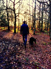 Rear view of man standing in forest