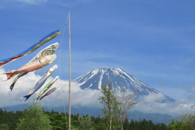 Fish shape flags waving against mt fuji