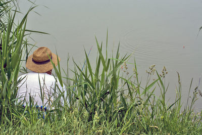 Rear view of person on grass by lake