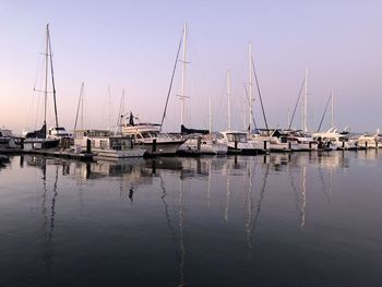 Sailboats in marina at harbor against clear sky