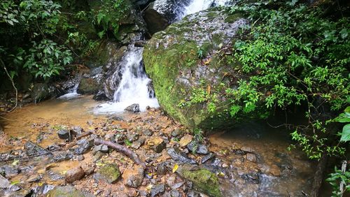 Stream flowing through rocks in forest