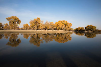 Reflection of trees in lake against sky during autumn