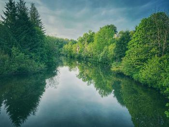 Reflection of trees in lake