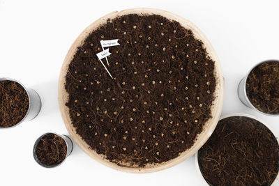 High angle view of spices against white background