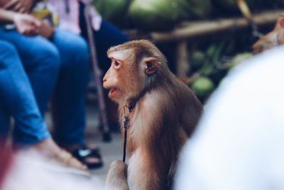 Man looking away while sitting outdoors