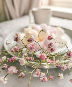 Close-up of pink flowering plant on table