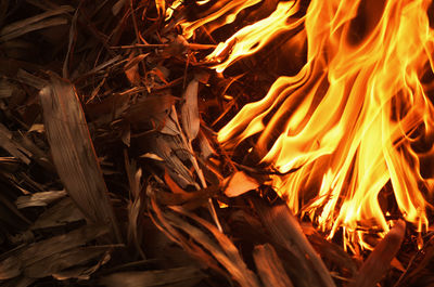 Close-up of bonfire at night