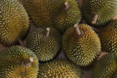 Close up of durian fruits