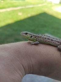 Person hand on rock outdoors