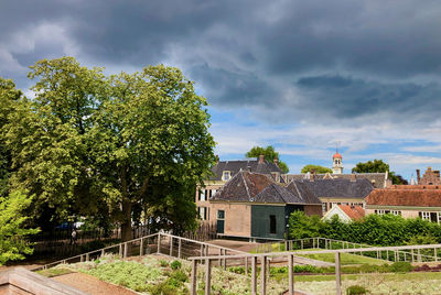 Trees and houses against sky