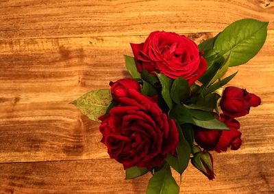 Close-up of red flowers