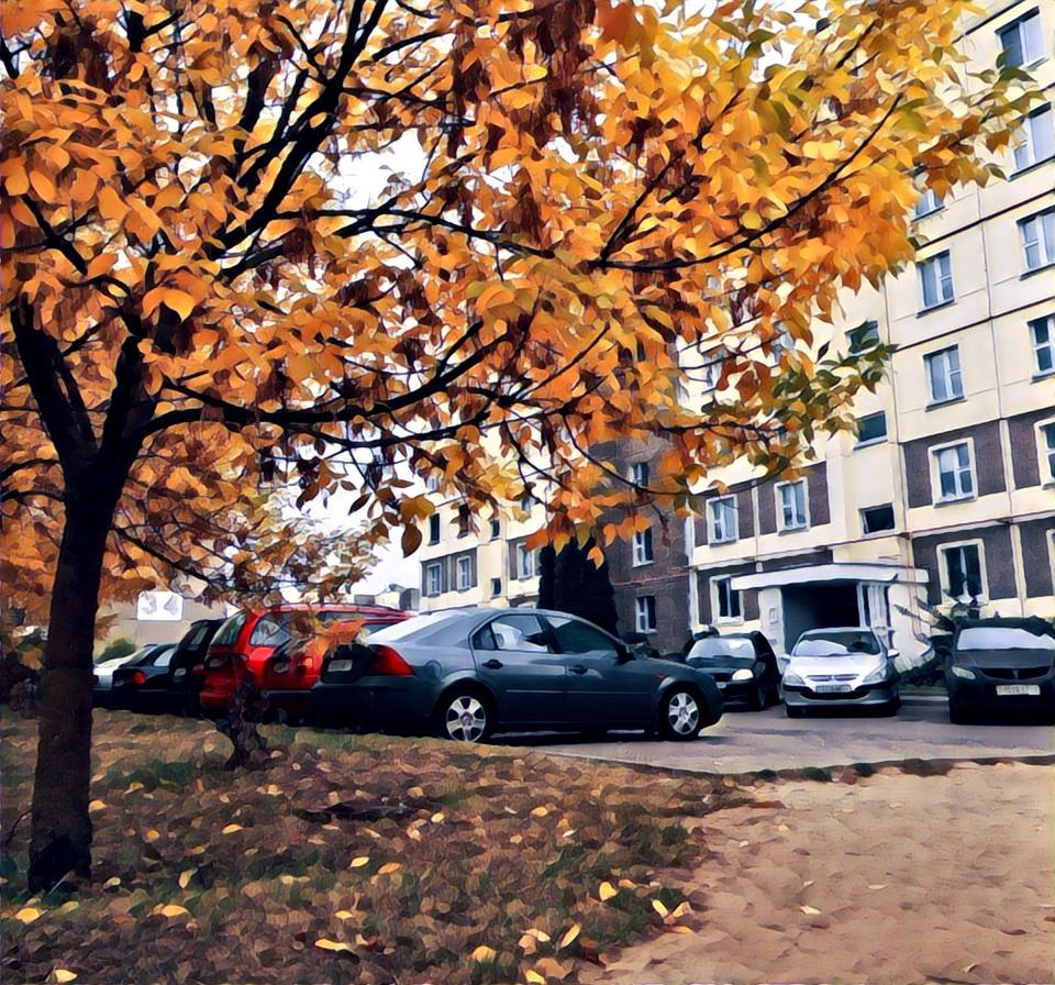 CARS PARKED ON STREET IN FRONT OF BUILDING