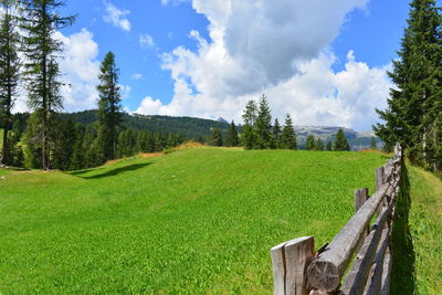 Panoramic view of agricultural field against sky