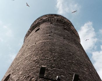 Low angle view of seagull flying against sky