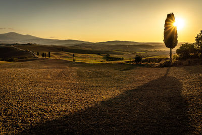 Rear view of woman standing on field