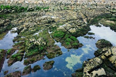 High angle view of rocks in lake