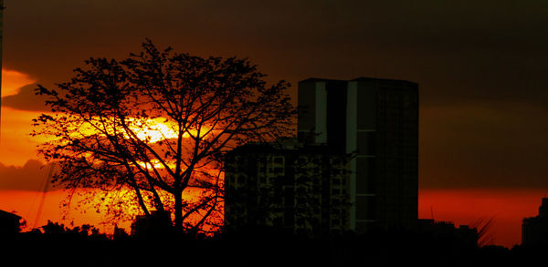 Silhouette tree by building against sky at sunset