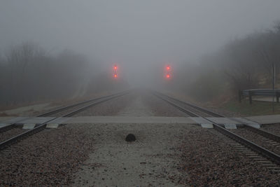 Road in foggy weather at night