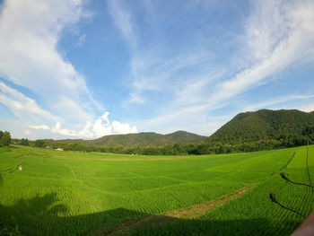 Scenic view of agricultural field against sky