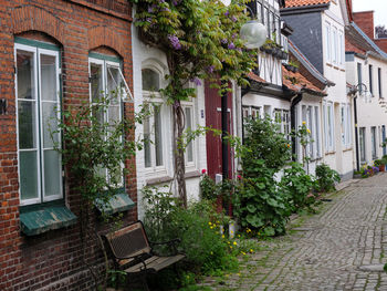 Eckernförde at the baltic sea