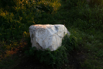View of a rock