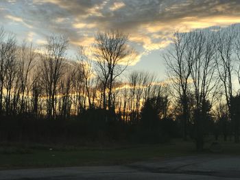 Silhouette bare trees in forest against sky at sunset