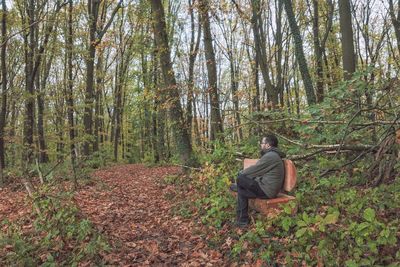 Side view of man sitting on bench in forest