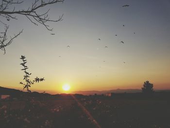 Silhouette birds flying over landscape against sky during sunset