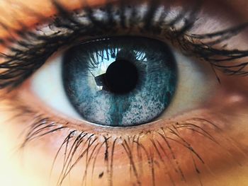 Extreme close-up of woman eye