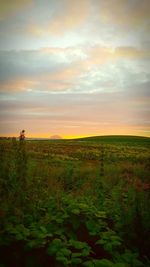 Scenic view of landscape against sky