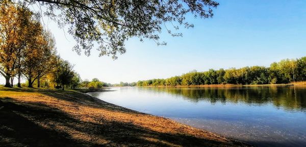 Scenic view of lake in forest against clear sky