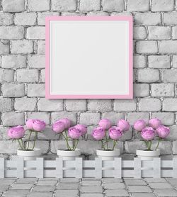 Close-up of pink flowers against brick wall