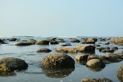 Scenic view of sea against clear sky