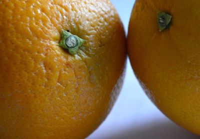 Two oranges