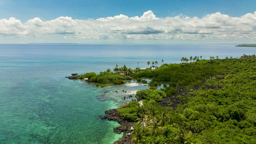 Tropical island shore with rainforest and jungle. virgin island, philippines.