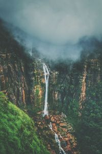 Scenic view of waterfall in forest