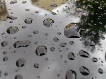 Close-up of water drops on ground