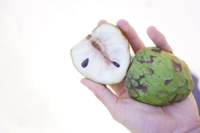 Close-up of hand holding apple against white background