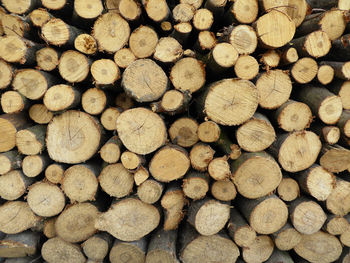 Full frame shot of logs