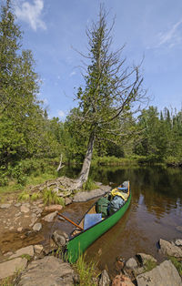 Boat in river amidst trees against sky