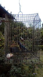 Metal fence in cage